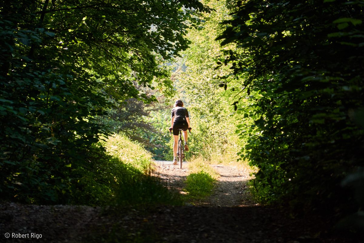 Makadamski put u blizini Brestovca Ogulinskog