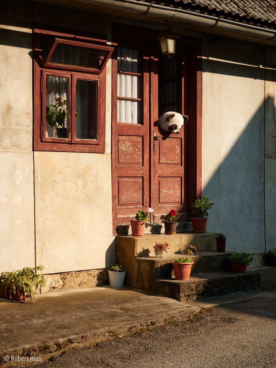 The village of Vitunj