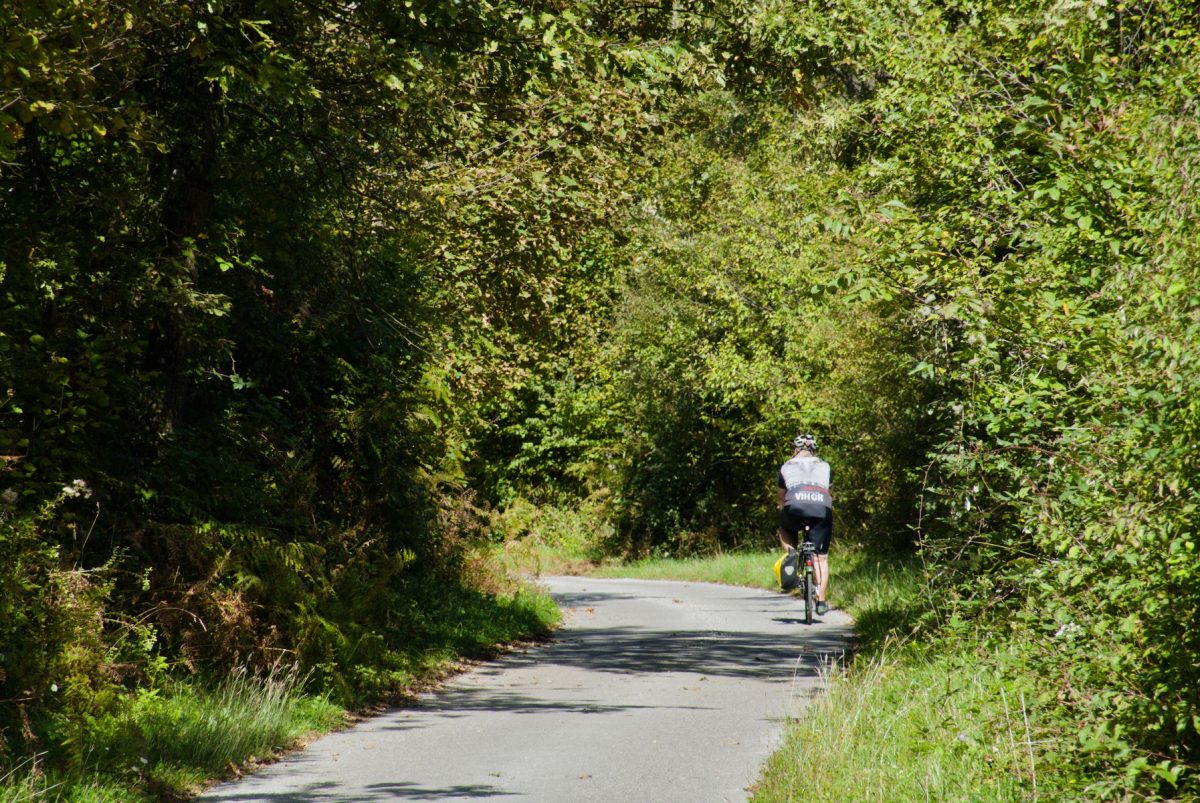 A narrow asphalt road leads us deep into the forest.