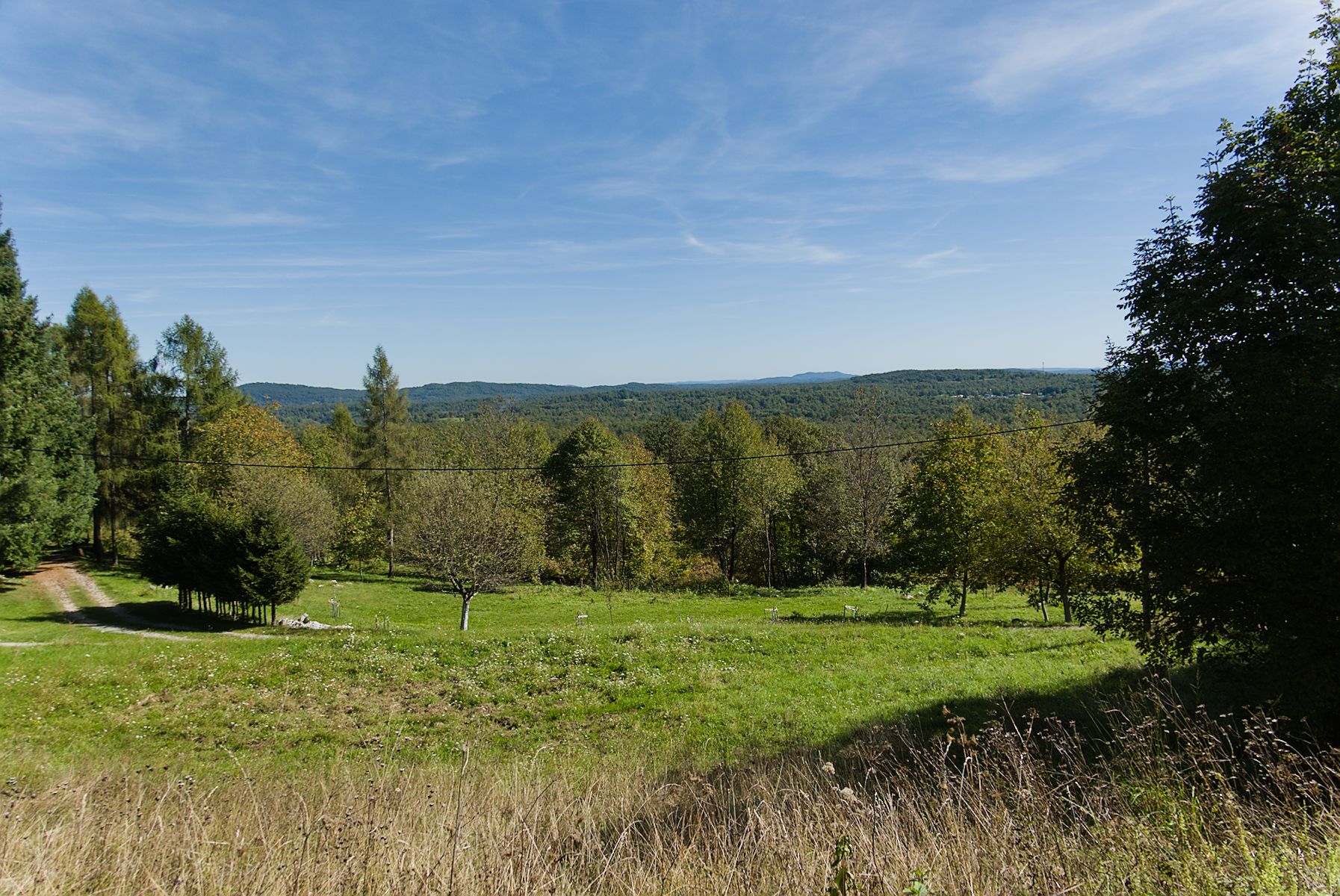 A view of the nature surrounding Popovo Polje.
