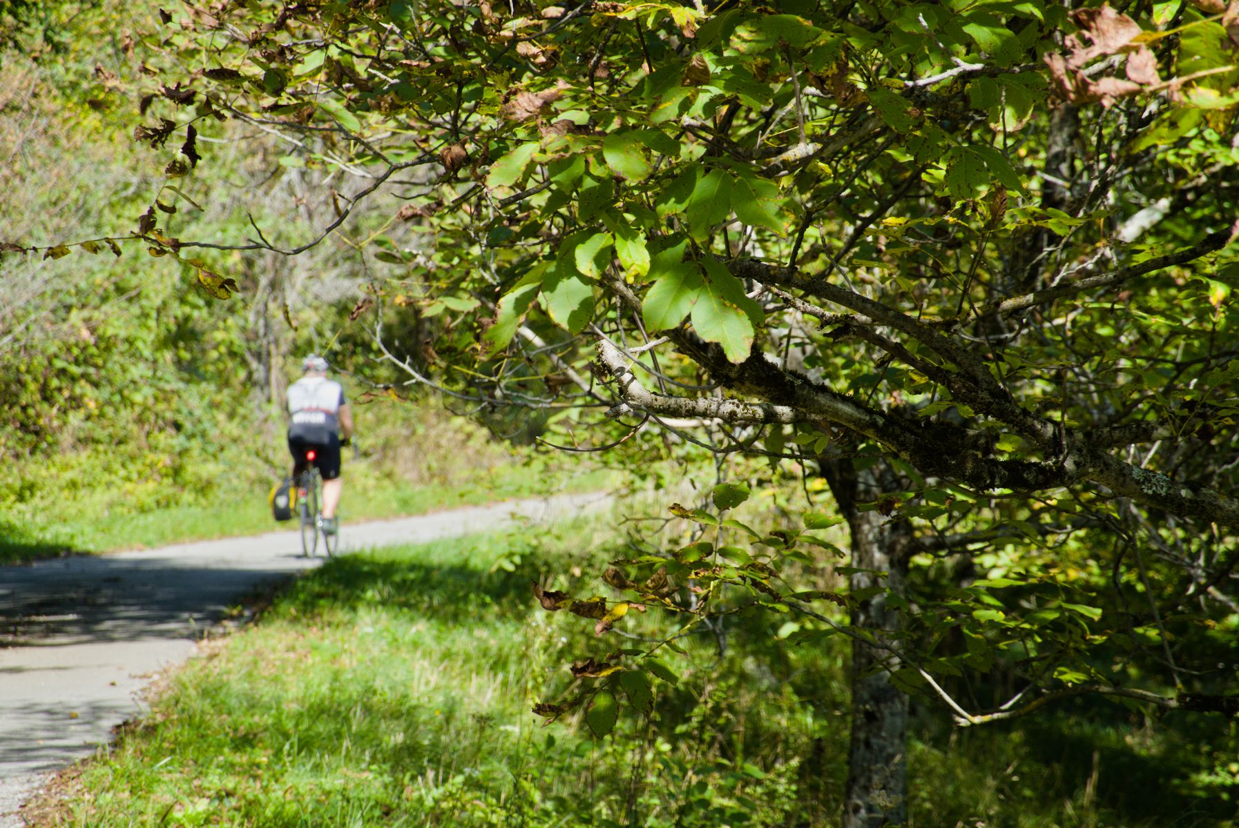 Immersed in the greenery of nature.