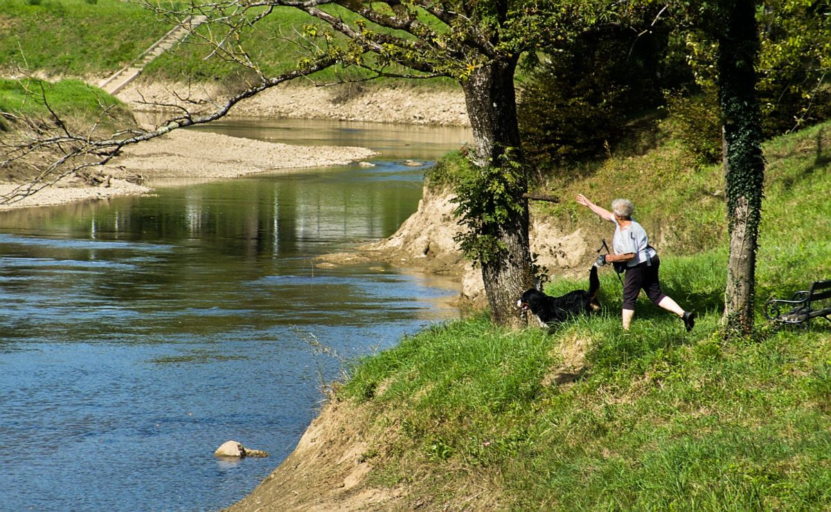 The banks of the Dobra River are an excellent place for the recreation of various mammals.